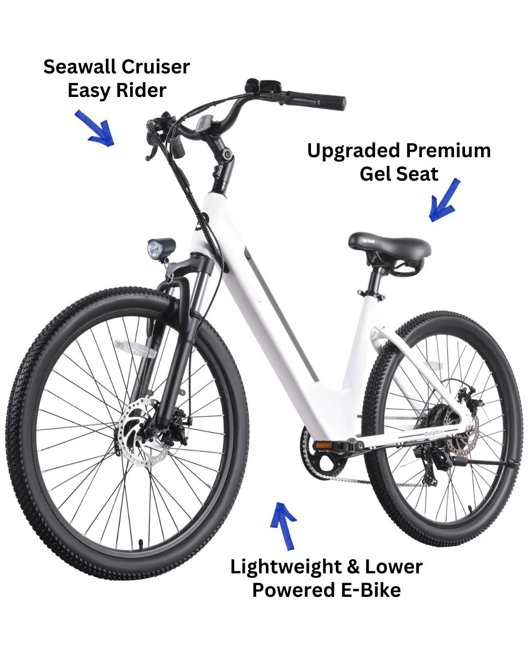 Seawall Cruiser Easy Rider