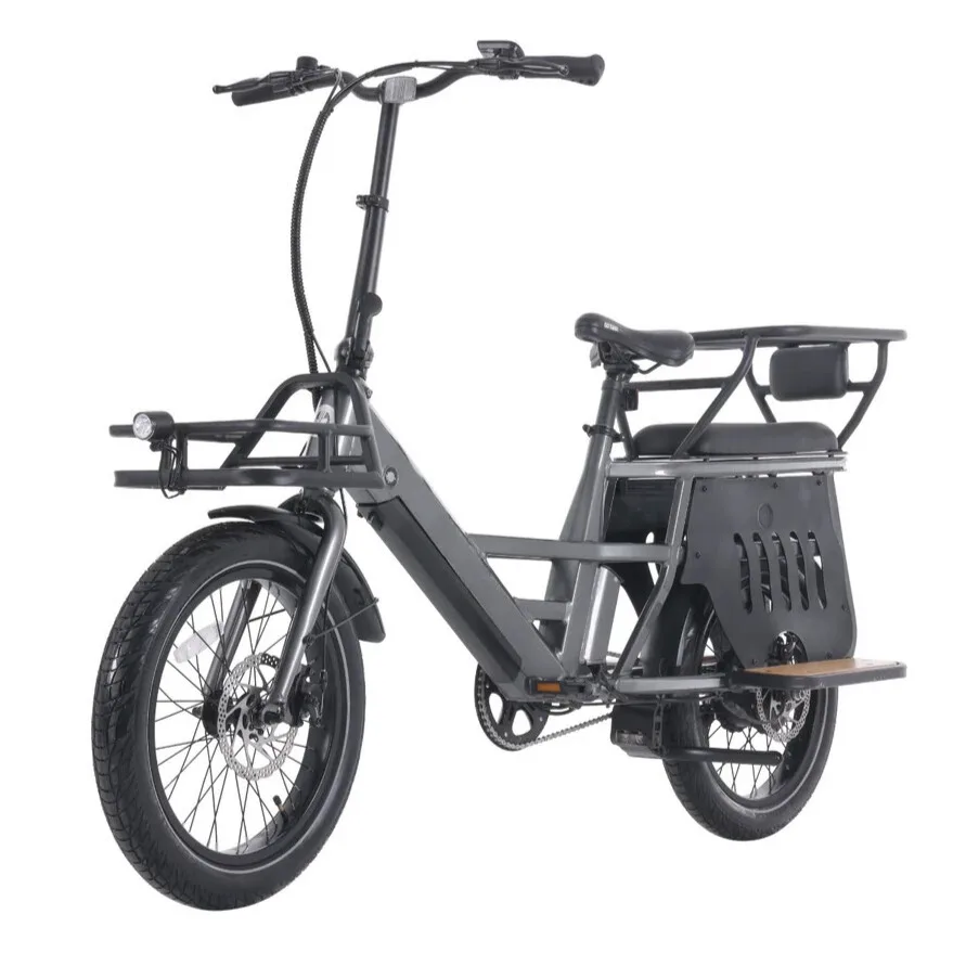 Child Carrier E-Bike
