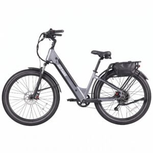 Seawall Cruiser