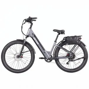 Seawall Cruiser