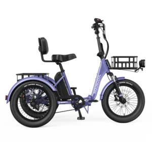 Electric Tricycle