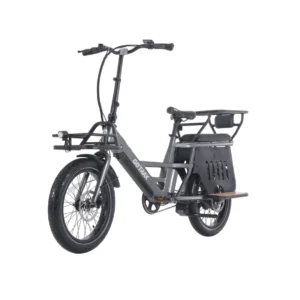 Cargo E-Bike for Kids